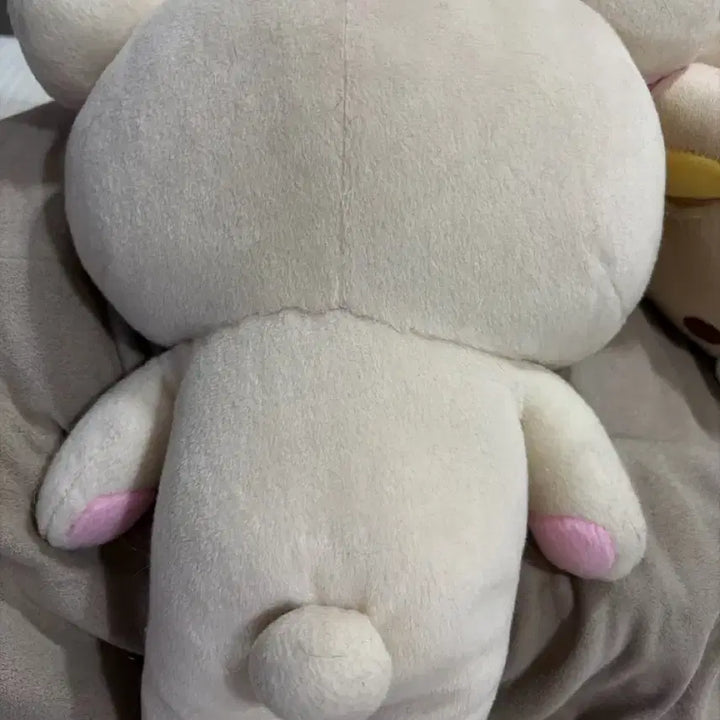 [BUNJANG] Medium Rilakkuma Korilakkuma Plush / 중형 코리락쿠마 인형