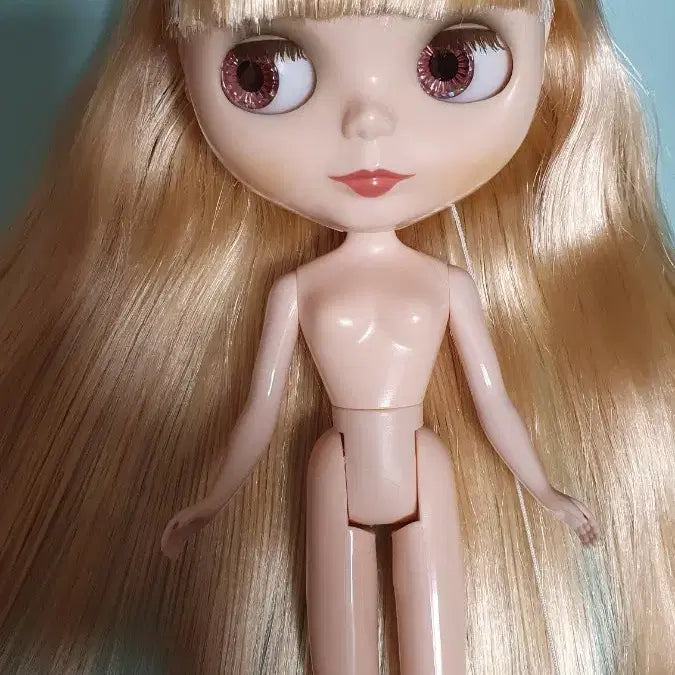 [BUNJANG] Anniversary Blythe Ally Gabrielle Doll / 애니버서리 브라이스(12대 앨리 가브리엘 블라이스)