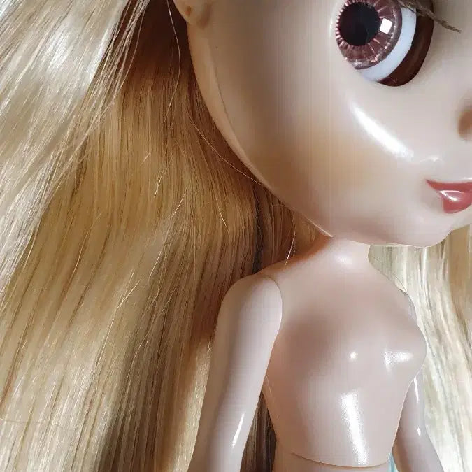 [BUNJANG] Anniversary Blythe Ally Gabrielle Doll / 애니버서리 브라이스(12대 앨리 가브리엘 블라이스)