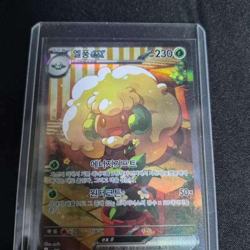 [BUNJANG] Pokemon Card Reshiram and 3 Cards / 포켓몬카드 N의 레시라무 및3장