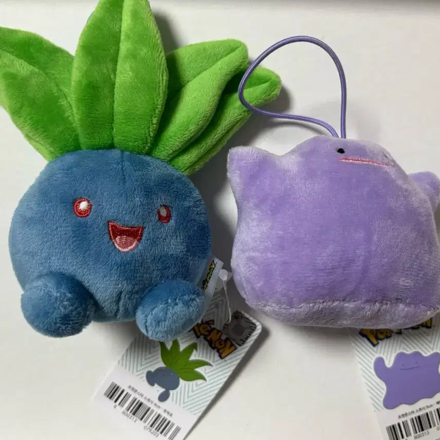 [SOLD OUT] 포켓몬스터 뚜벅초 메타몽 스퀴시 인형 키링 새상품 일괄 양도