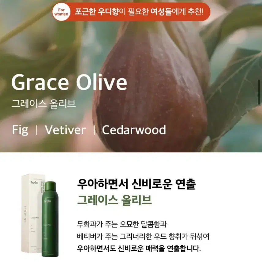 [BUNJANG] Hidden Perfume Body Lotion - Grace Olive 250ml / 히든 퍼퓸 스프레이 바디로션 그레이스 올리브 250ml