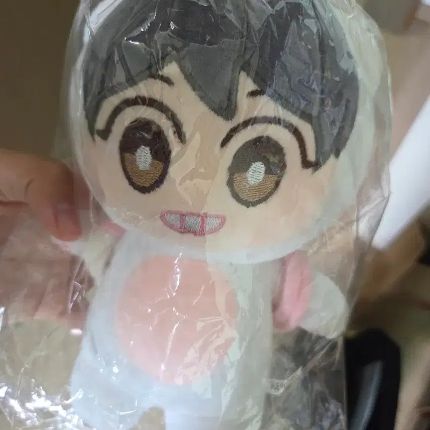 [BUNJANG] EXO Member Plush Doll / 엑소 인형