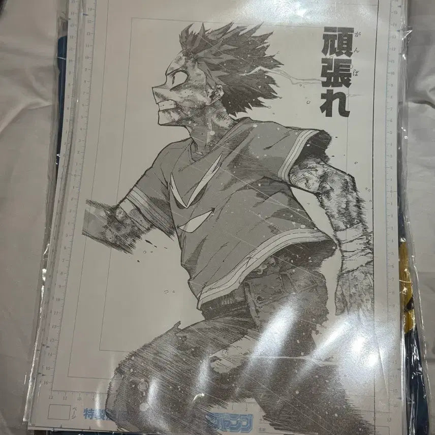 [BUNJANG] My Hero Academia Deku Digital Manuscript Unsealed Art Exhibition / (미개봉) 나히아 히로아카 원화전 간바레 데쿠 디지털 원고
