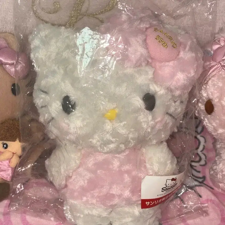 [BUNJANG] Sanrio 55th Anniversary Kitty Rose Boa Fur Plush / 새제품) 산리오 55주년 키티 보아털 키티 장미털 키티 로즈보아털 키티