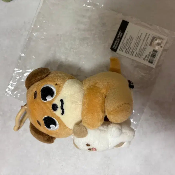 [BUNJANG] Day6 Nanahong Don Plush / 데이식스 나안아 돈 양도