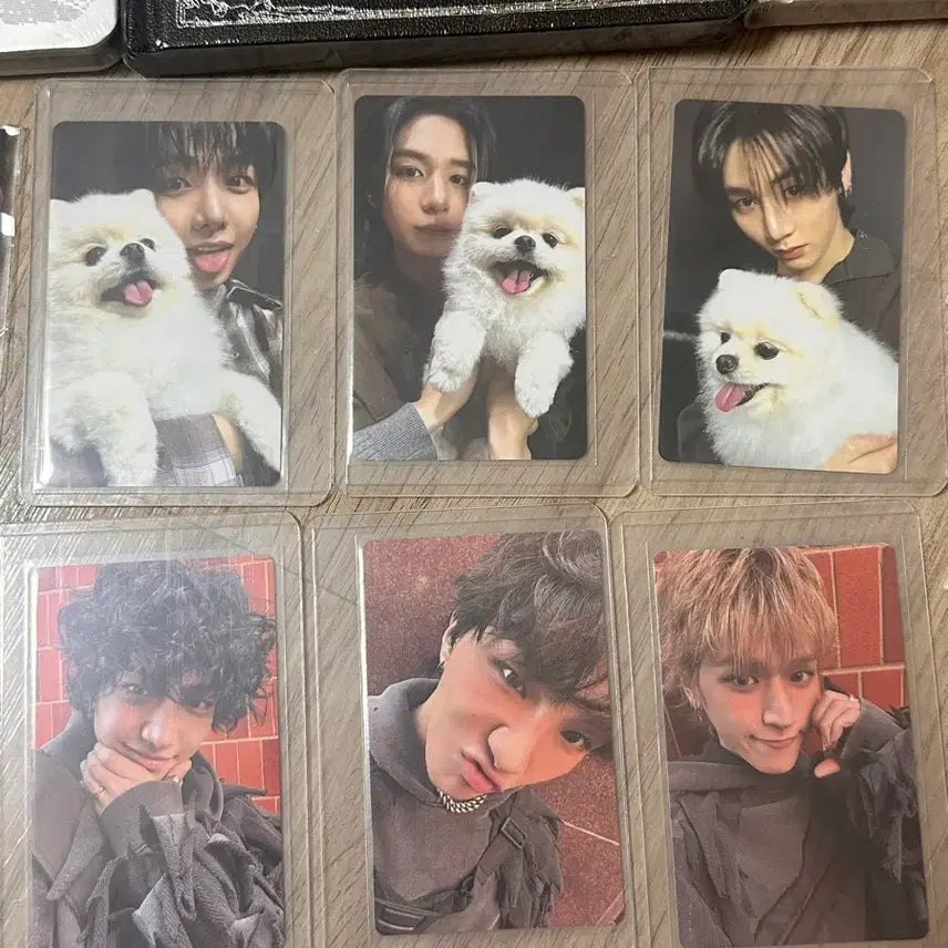 [BUNJANG] BOYNEXTDOOR Weverse Early Bird Special Photocard Bundle / 보넥도 홈 위버스 얼리버드 특전포카/앨범(미개봉) 일괄양도