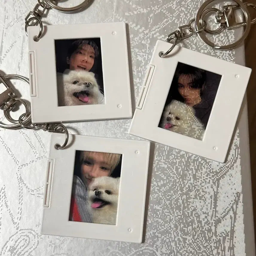[BUNJANG] BOYNEXTDOOR Weverse Early Bird Special Photocard Bundle / 보넥도 홈 위버스 얼리버드 특전포카/앨범(미개봉) 일괄양도