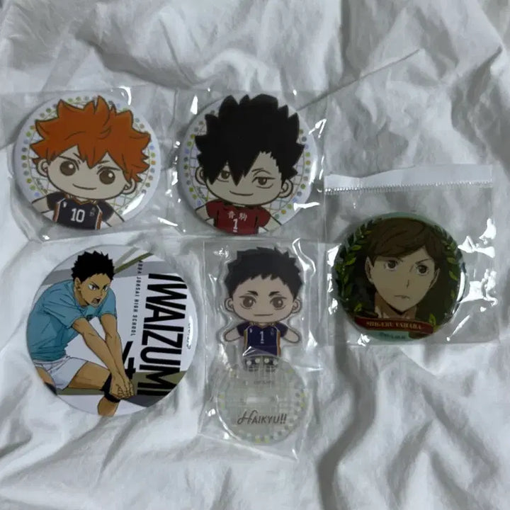 [BUNJANG] Haikyu!! Goods Bundle (Segakuji) / 하이큐 굿즈 일괄 (세가쿠지)