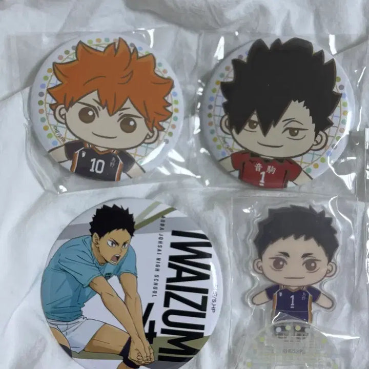 [BUNJANG] Haikyu!! Goods Bundle (Segakuji) / 하이큐 굿즈 일괄 (세가쿠지)