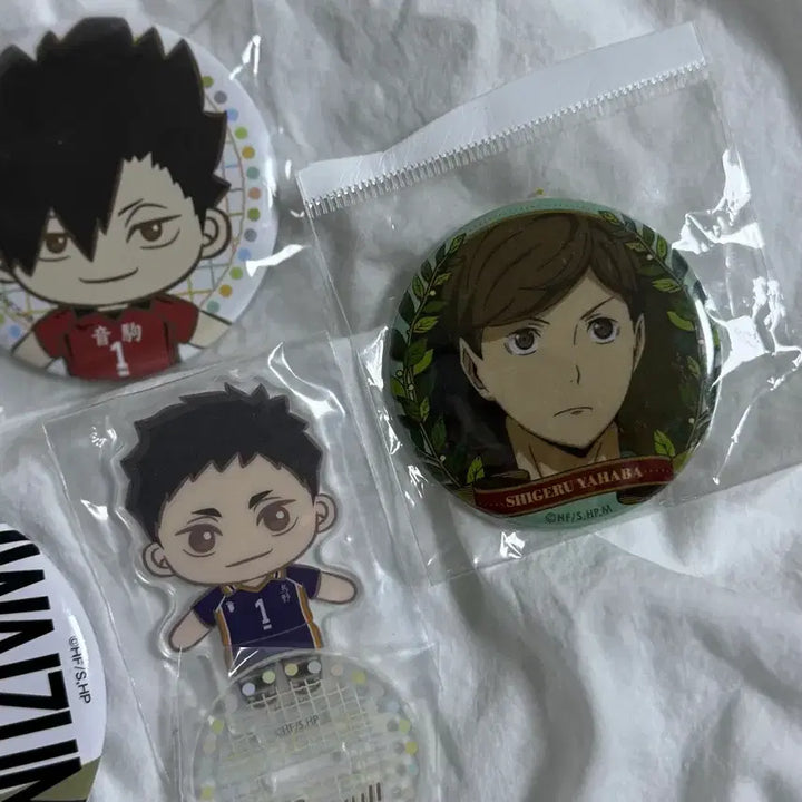 [BUNJANG] Haikyu!! Goods Bundle (Segakuji) / 하이큐 굿즈 일괄 (세가쿠지)