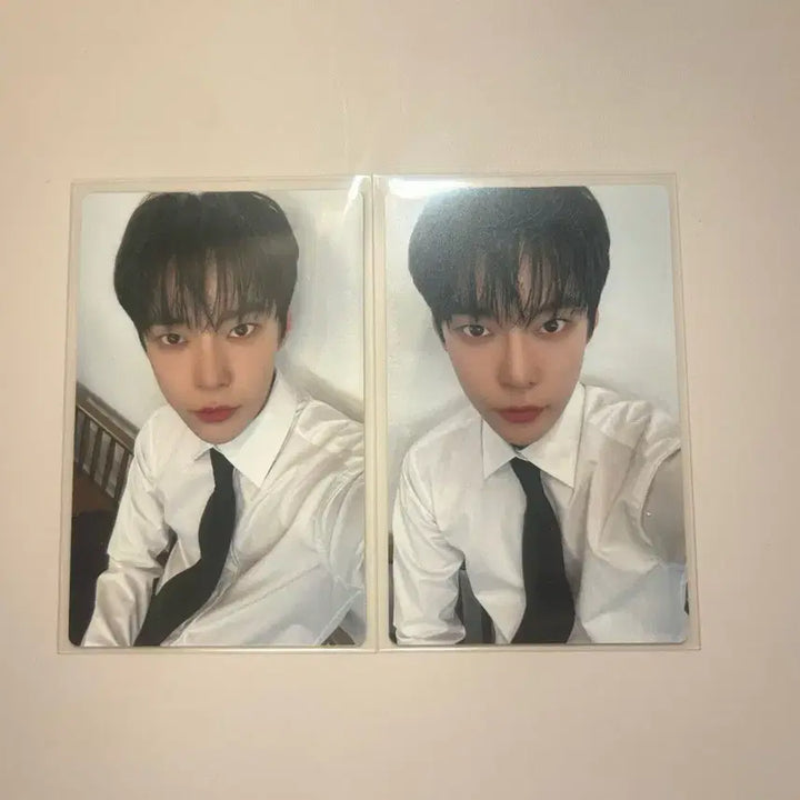 [BUNJANG] NCT Doyoung NCT NATION Japan Bundle Set Photocard / 엔시티 도영 일본 엔시티 네이션 포카 일괄