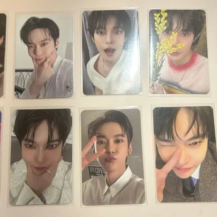[BUNJANG] NCT 127 Doyoung Bundle Set Photocard / 엔시티127 도영 포카 일괄 9장