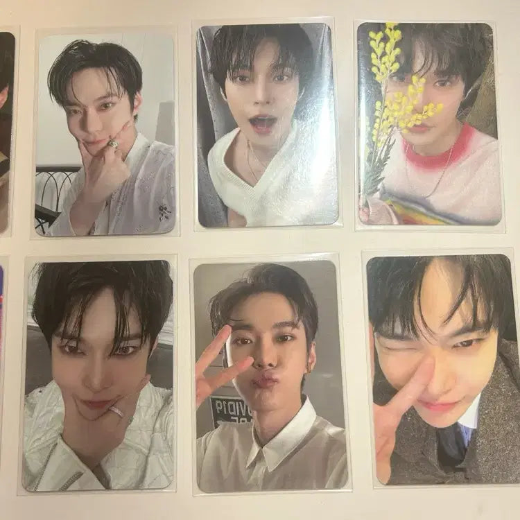 [BUNJANG] NCT 127 Doyoung Bundle Set Photocard / 엔시티127 도영 포카 일괄 9장