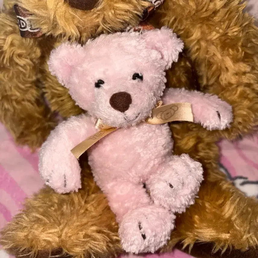 [BUNJANG] Vintage Teddy Bear Set (Pink + Brown) / 고급 빈티지 테디베어 핑크+브라운 set 빈티지인형 빈티지곰인형