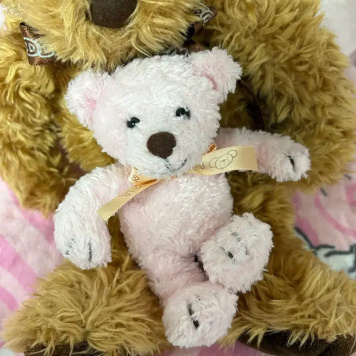 [BUNJANG] Vintage Teddy Bear Set (Pink + Brown) / 고급 빈티지 테디베어 핑크+브라운 set 빈티지인형 빈티지곰인형