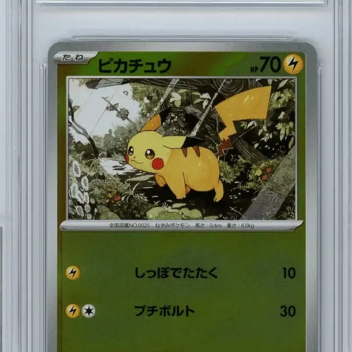[BUNJANG] Pokemon Card Pikachu BRG Graded Cards (2-Card Bundle Set) / 포켓몬카드 피카츄 BRG 9 등급카드 2장 일괄 판매합니다.