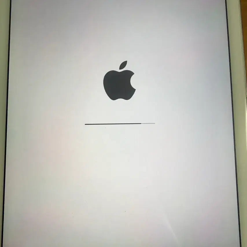[BUNJANG] Apple iPad Air 2 64GB Wi-Fi / 애플 아이패드 에어2 64기가 wifi