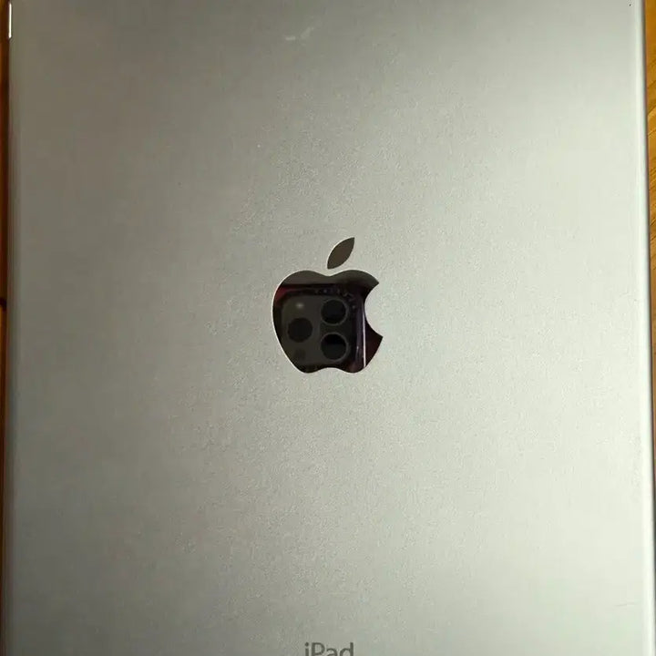 [BUNJANG] Apple iPad Air 2 64GB Wi-Fi / 애플 아이패드 에어2 64기가 wifi