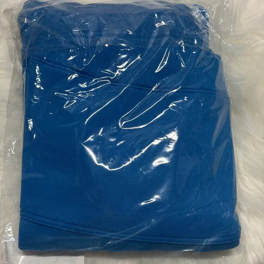 [BUNJANG] RIIZE Archive Wonbin Hooded Sweatshirt (Sealed) / 미개봉)라이즈 팝업 ARCHIIVE 원빈 후드 양도