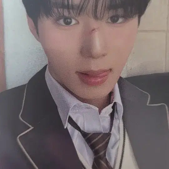 [SOLD OUT] 알파드라이브원 알디원 준서 김준서 포카 포토카드 일괄 쥬얼