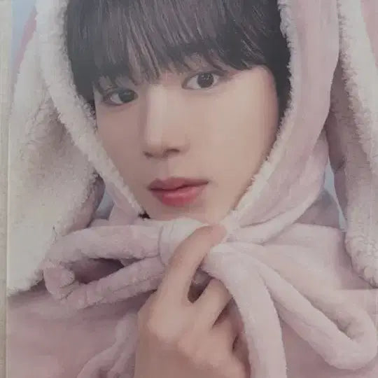 [SOLD OUT] 알파드라이브원 알디원 준서 김준서 포카 포토카드 일괄 쥬얼