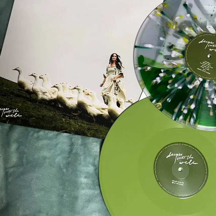 [SOLD OUT] 케이시 머스그레이브스 Deeper into the Wall lp