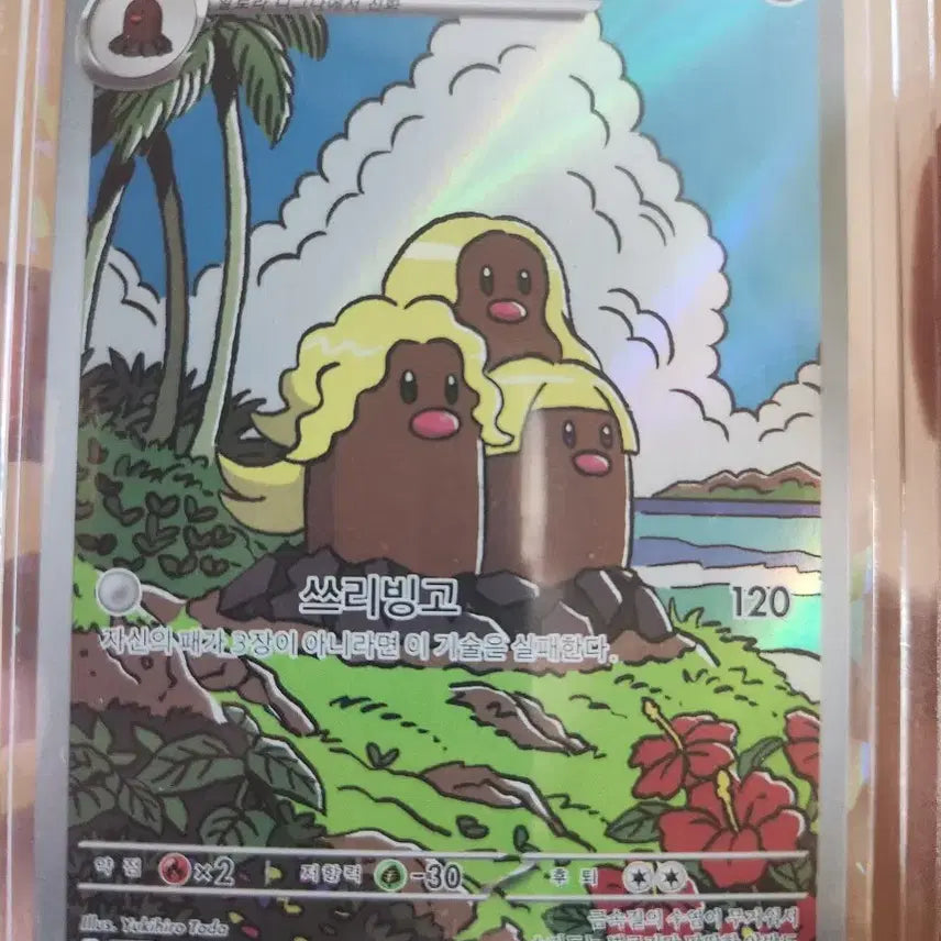 [BUNJANG] Pokemon Card Dakuryo, Doktrio, Gangcheolton AR / 포켓몬 카드 다꼬리 닥트리오 강철톤 ar