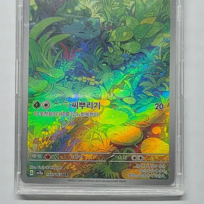 [BUNJANG] Bulbasaur AR Grade S-Class Pokemon Card / 이상해씨 ar 등급용 s급