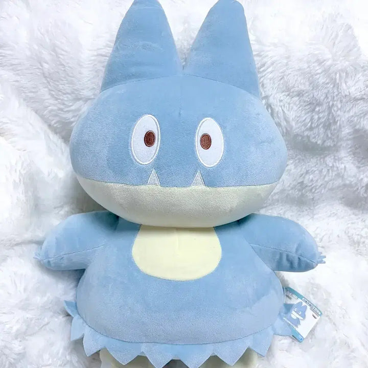 [BUNJANG] Banpresto Pokemon Piplup Plush / 포켓몬 반프레스토 포켓피스 먹고자 인형