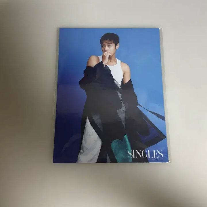 [BUNJANG] Park Ji Hoon Singles Japan Postcard Set / 박지훈 싱글즈 일본 엽서 2종