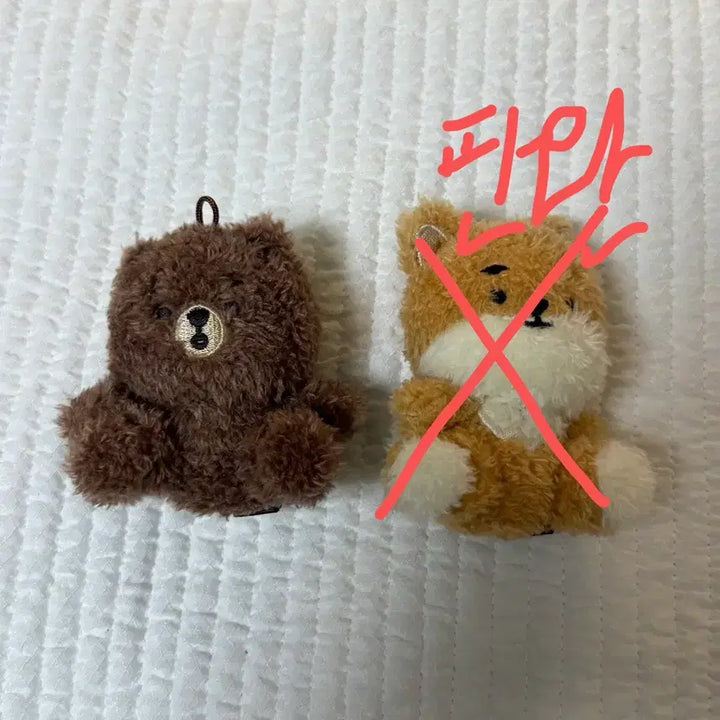 [SOLD OUT] 데이식스 앉은 쁘띠멀즈 방