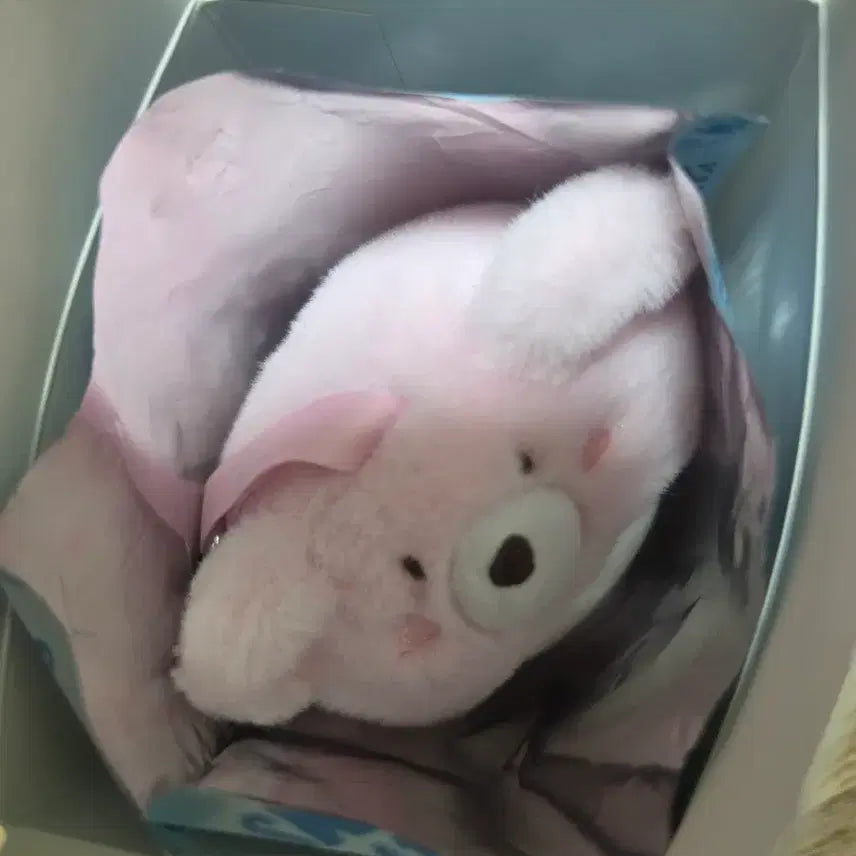 [BUNJANG] Stray Kids Ribbit Secret Keyring / 스트레이키즈 시크릿키링 리빗