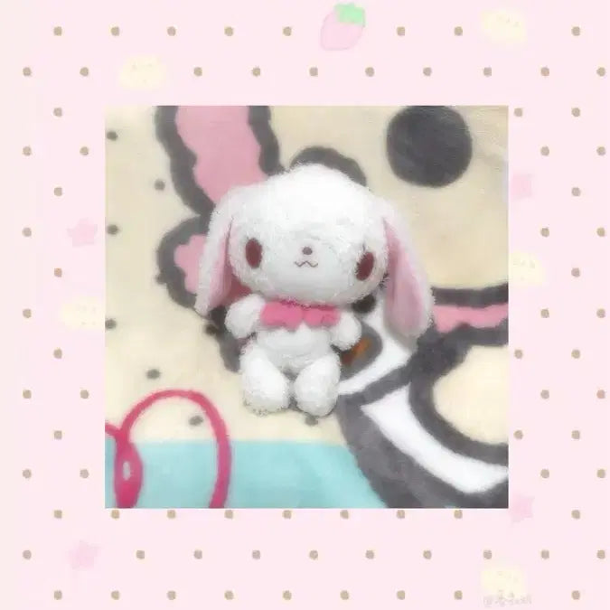 [BUNJANG] SugarBunnies Shirousa Articulated Doll / 슈가바니즈 시로우사 관절 인형