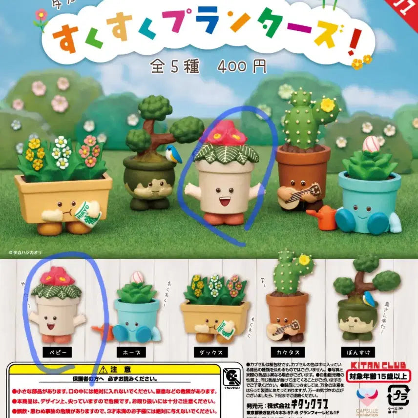 [BUNJANG] Kitten Club Sseuk Sseuk Planters Gacha Capsule / 키탄클럽 화분 쑥쑥 플랜터즈 가챠