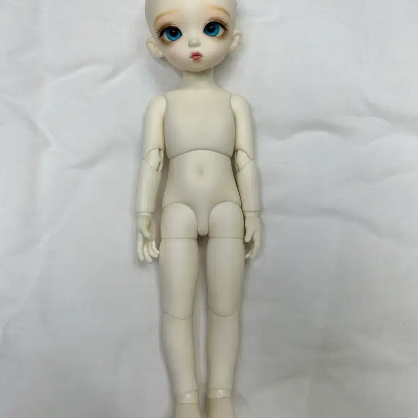[BUNJANG] LUTS Honey Delf Madeleine Ball-Jointed Doll (White Skin) with Clothing and Wig / 구체관절인형 ( 루츠 허니델프 마들렌 ) + 옷 + 가발