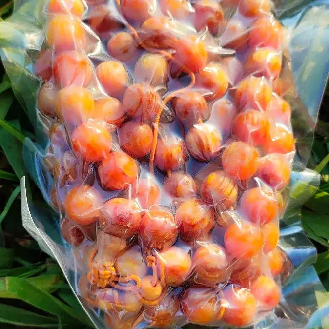 [BUNJANG] Baekdusan Hwangbitgal Jamanju Songmyeongja 108 Beads Prayer Beads (10mm) / 백두산 자황금 빛갈 참송 전만유 송명자 염주 10mm