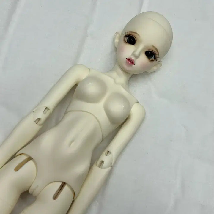 [BUNJANG] Dreaming Doll Lovely Betsy Ball-Jointed Doll with Outfits and Wigs / 구체관절인형 ( 드리밍돌 러블리 벳시 ) + 옷 + 가발