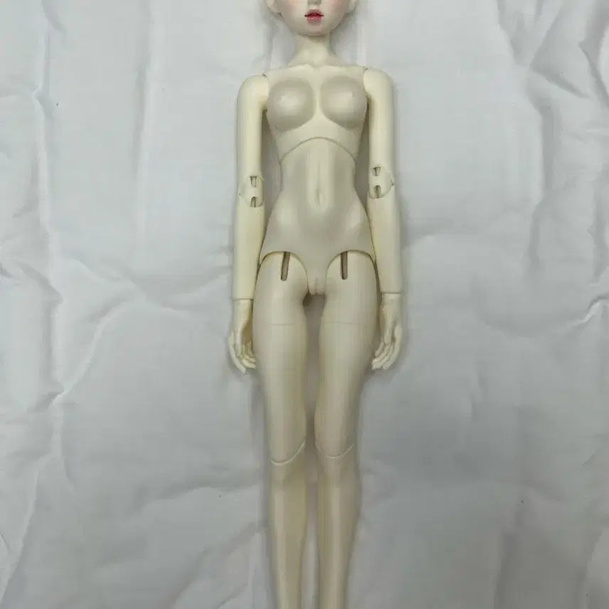 [BUNJANG] Dreaming Doll Lovely Betsy Ball-Jointed Doll with Outfits and Wigs / 구체관절인형 ( 드리밍돌 러블리 벳시 ) + 옷 + 가발