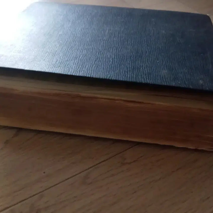 [BUNJANG] 1958 Korean Dictionary / 반티지 - 1958년 발간 국어대사전