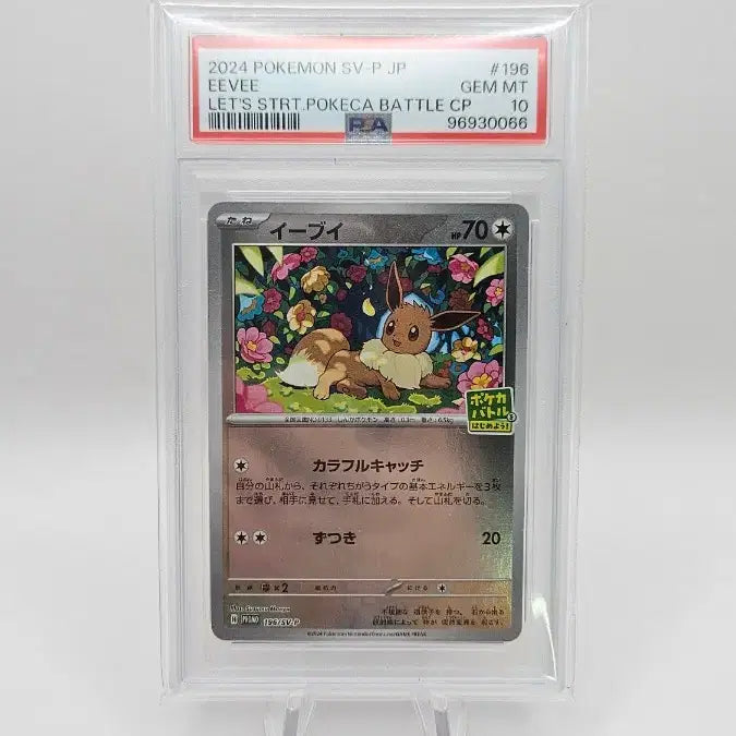 [BUNJANG] Pokemon Eevee Promo Card PSA 10 / 포켓몬카드 이브이 프로모 PSA10