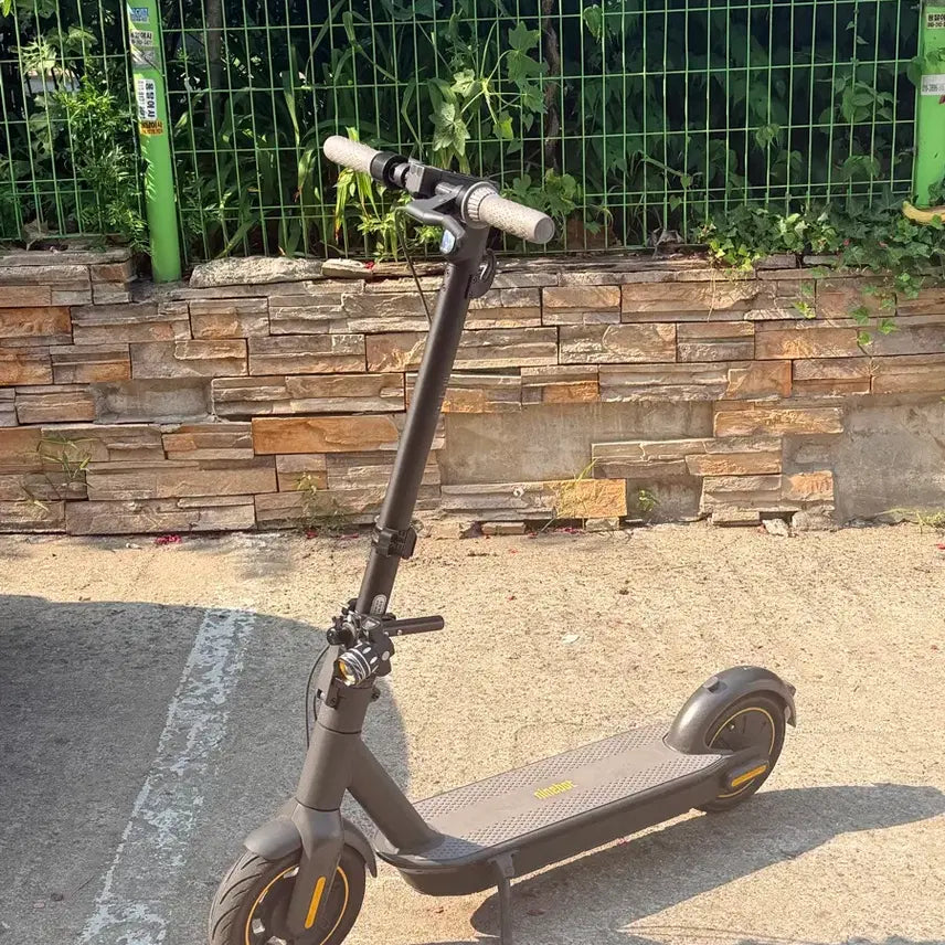 [BUNJANG] Ninebot G30 Max Electric Kickboard / 나인봇 G30 MAX 전동킥보드 팝니다