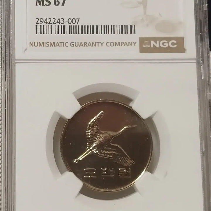 [BUNJANG] 1989 500 Won Coin Grade 67 Unused / 1989년 500원 67등급  미사용