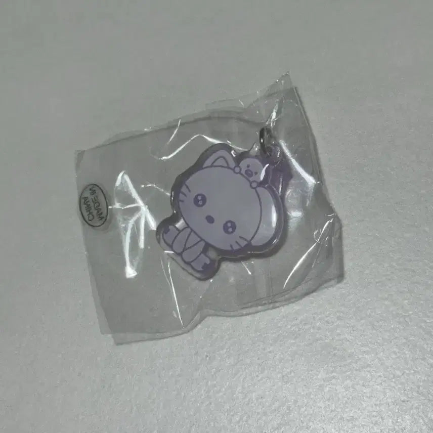 [BUNJANG] RIIZE Archive Pop-up Random Plug Charm Wonbin Tonangdeok / 라이즈 아카이브 팝업 랜덤 플러그 참 원빈 토냥덕