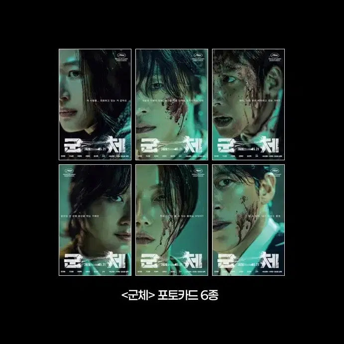 [BUNJANG] Choi Min Sik, Jeon Ji Hyun, Ji Chang Wook - Set of 6 Character Photocards (CGV Exclusive) / 6종 세트) 군체 포토카드 구교환 지창욱 전지현 포카 서영철 CGV특전