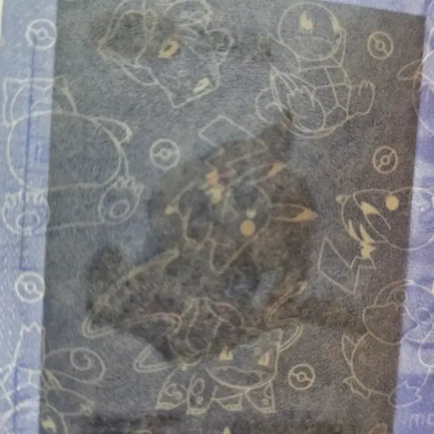 [BUNJANG] Sealed Pokemon Virizion Sticker / 미개봉 포켓몬 브이젤 띠부씰 포켓몬스터 빵
