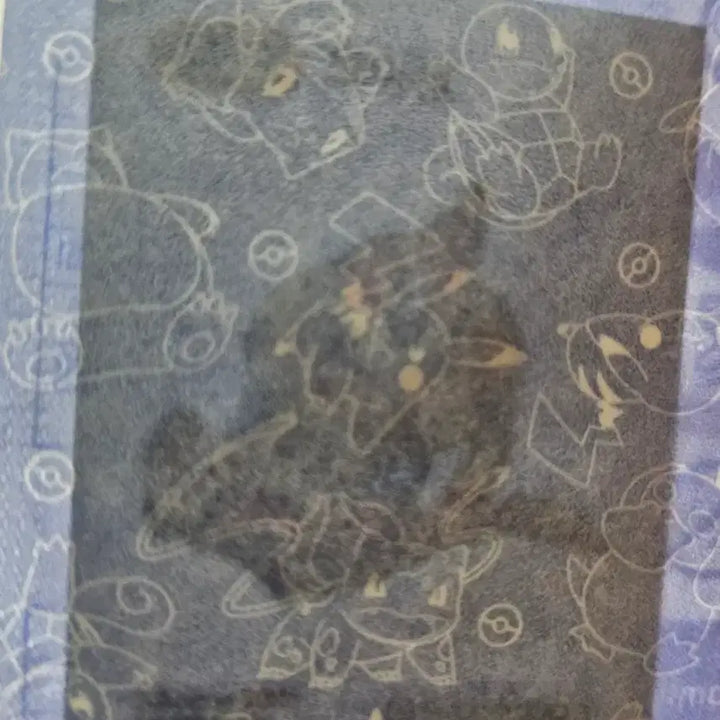 [BUNJANG] Sealed Pokemon Virizion Sticker / 미개봉 포켓몬 브이젤 띠부씰 포켓몬스터 빵