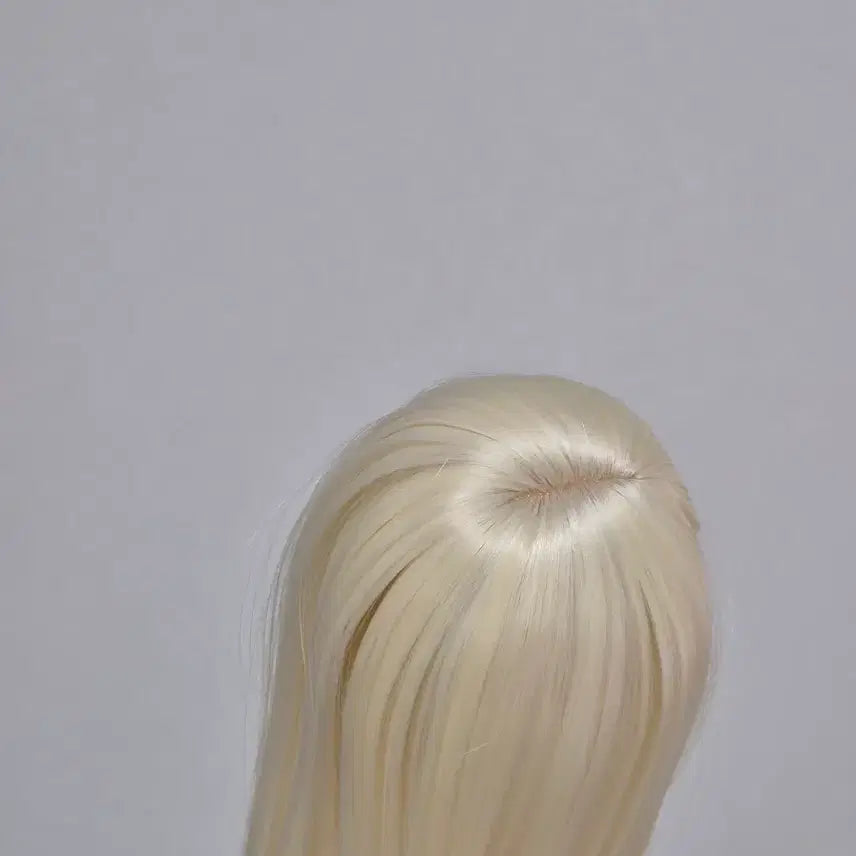 [BUNJANG] MSD Size BJD Wig with Layered Cut and Inner C-Curl / 구관 가발 msd 사이즈 구체관절인형 가방