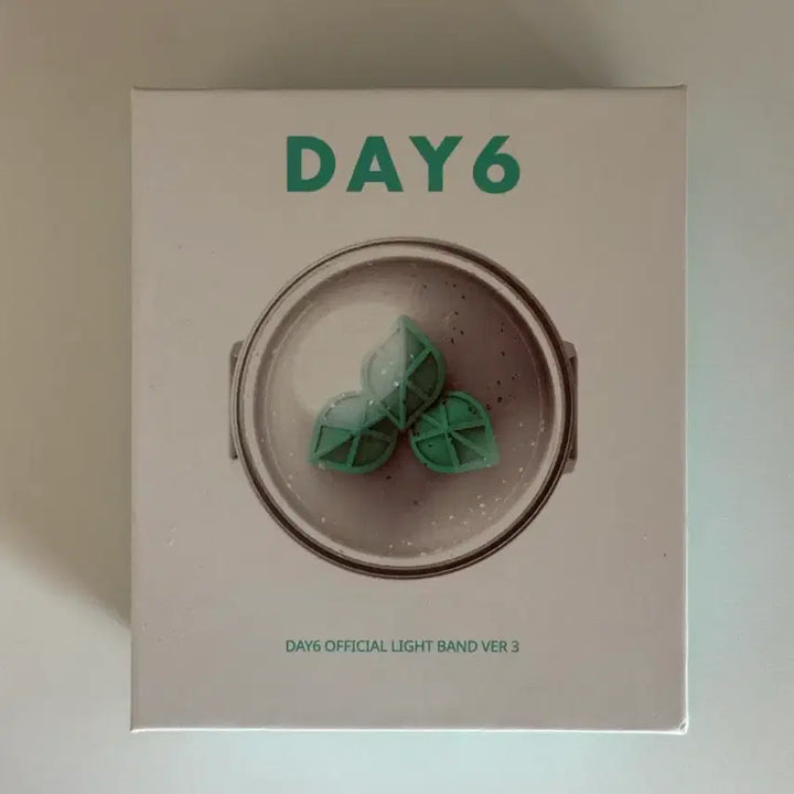 [SOLD OUT] DAY6 데이식스 마데워치 라이트 밴드 ver3 포카포함