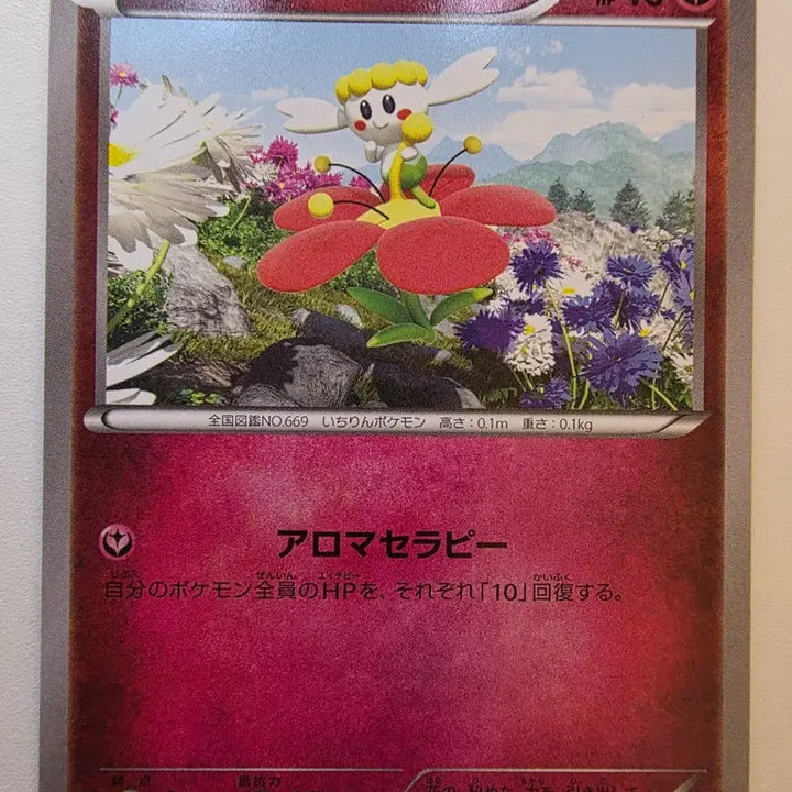 [BUNJANG] Vintage Pokemon Card Japanese 2013 Polybebe XY / 빈티지)포켓몬카드 일판 2013 폴리베베 XY
